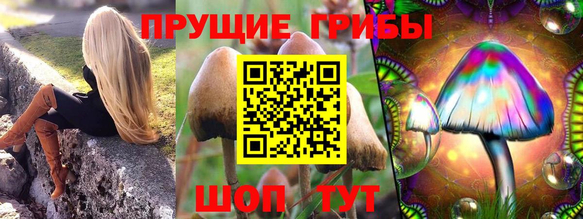 Галлюциногенные грибы MAGIC MUSHROOMS Зеленодольск
