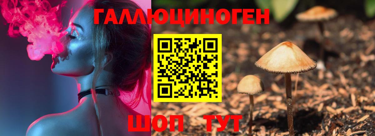 купить   Галлюциногенные грибы Psilocybine cubensis  Вход с VPN  Галлюциногенные грибы Psilocybe  Зеленодольск 